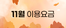11월요금