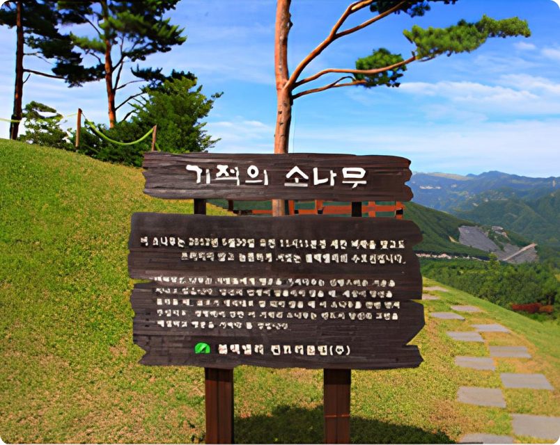 벼락맞은소나무